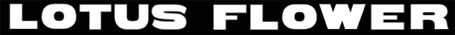Lotus Flower